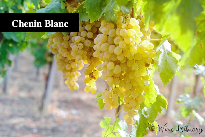 シュナン・ブラン / Chenin Blanc - Wine Library