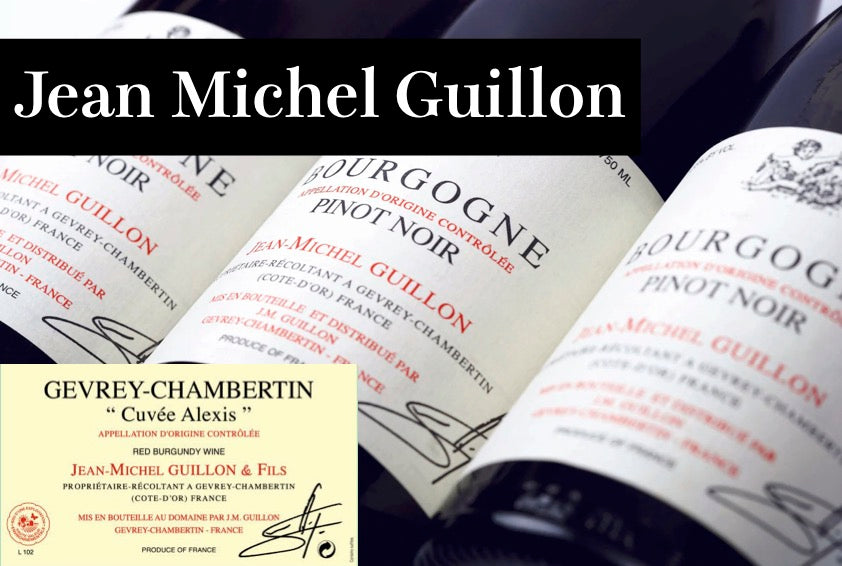 ジャン・ミッシェル・ギュイヨン / Jean Michel Guillon - Wine Library
