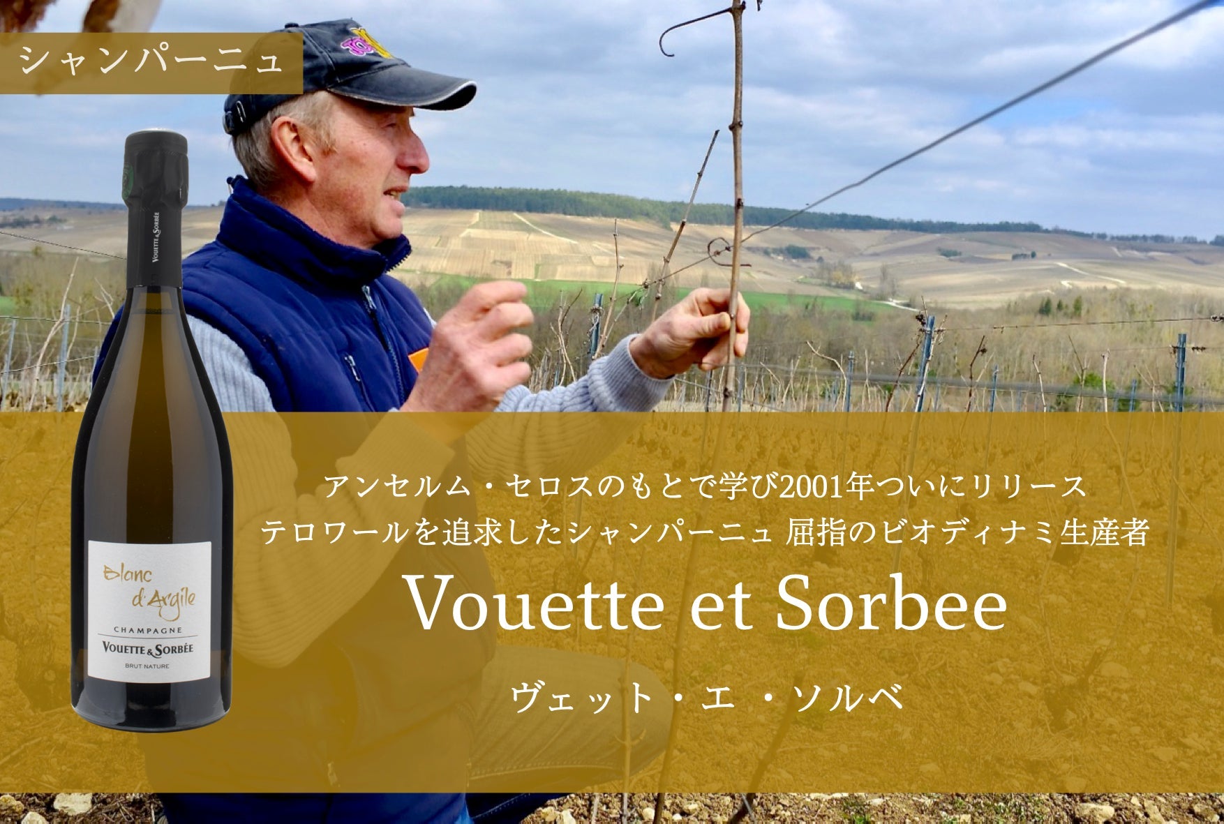 ヴェット・エ ・ソルベ / Vouette et Sorbee | Wine Library