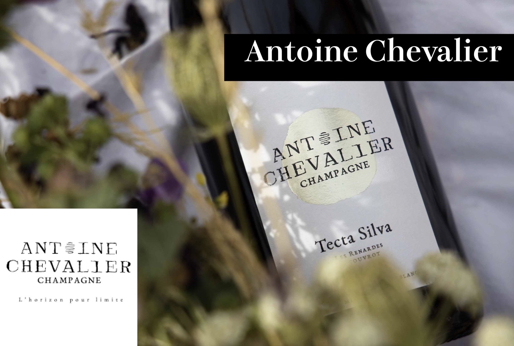 アントワーヌ・シュヴァリエ / Antoine Chevalier - Wine Library
