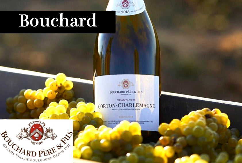 ブシャール / Bouchard - Wine Library