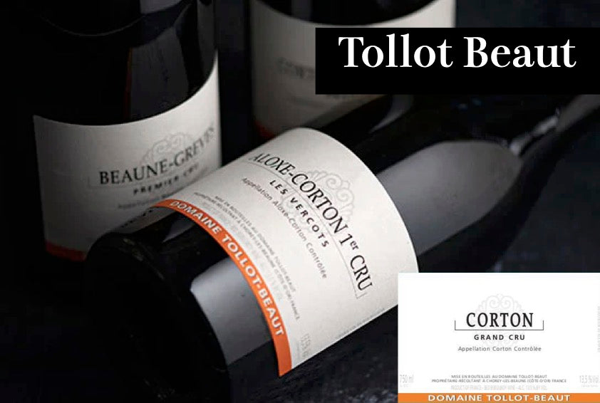 ワイン Domaine Tollot-Beaut Aloxe-Corton 2020 トロ・ボー / Tollot Beaut - Wine Library