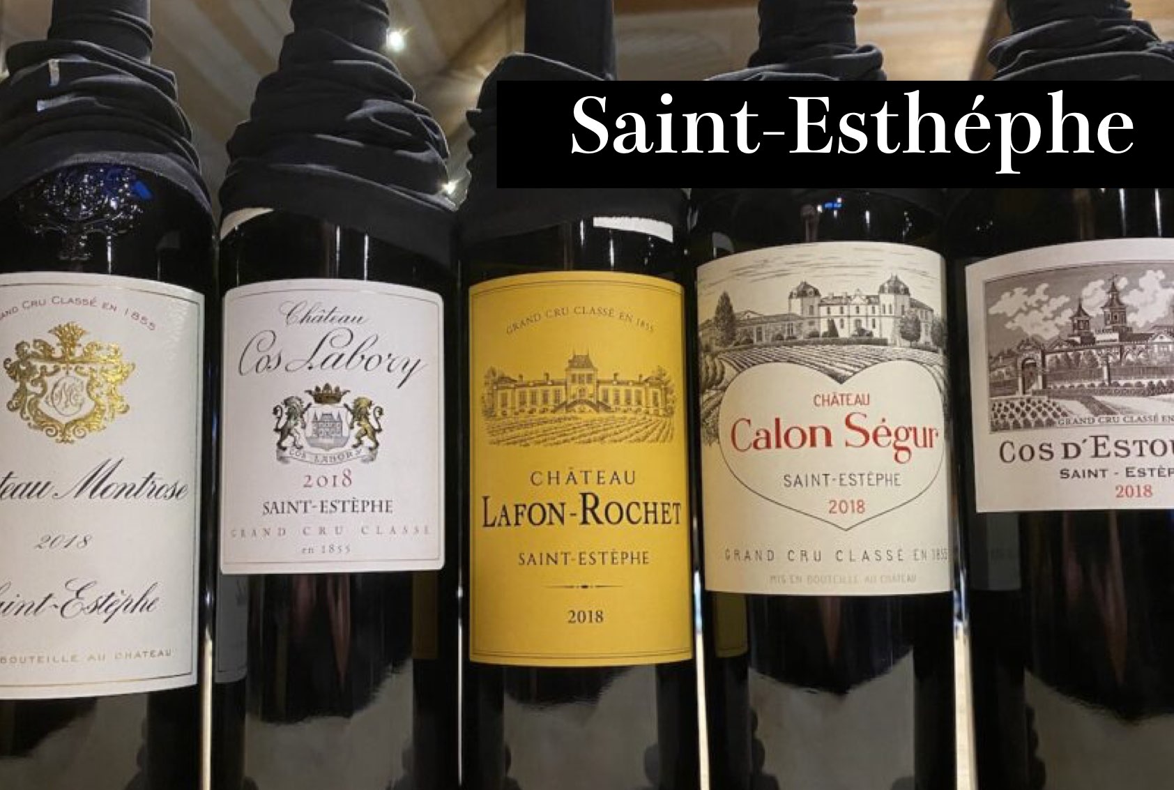 サン・テステフ／Saint-Esthéphe - Wine Library