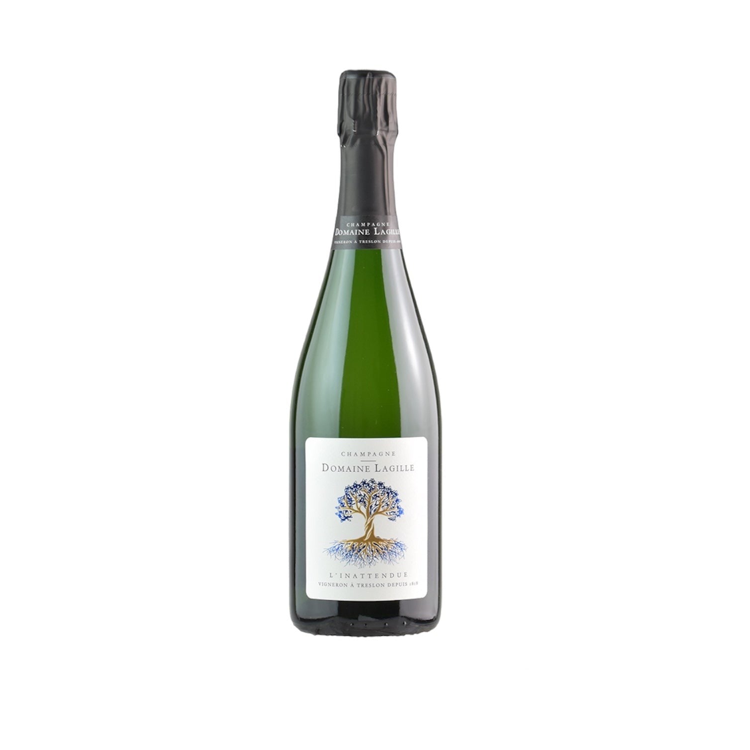 NV ブリュット リナトンデュ / ドメーヌ・ラジィル | Wine Library