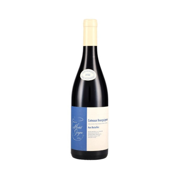 2022 コトー・ブルギニヨン / モド・ギヨン | Wine Library