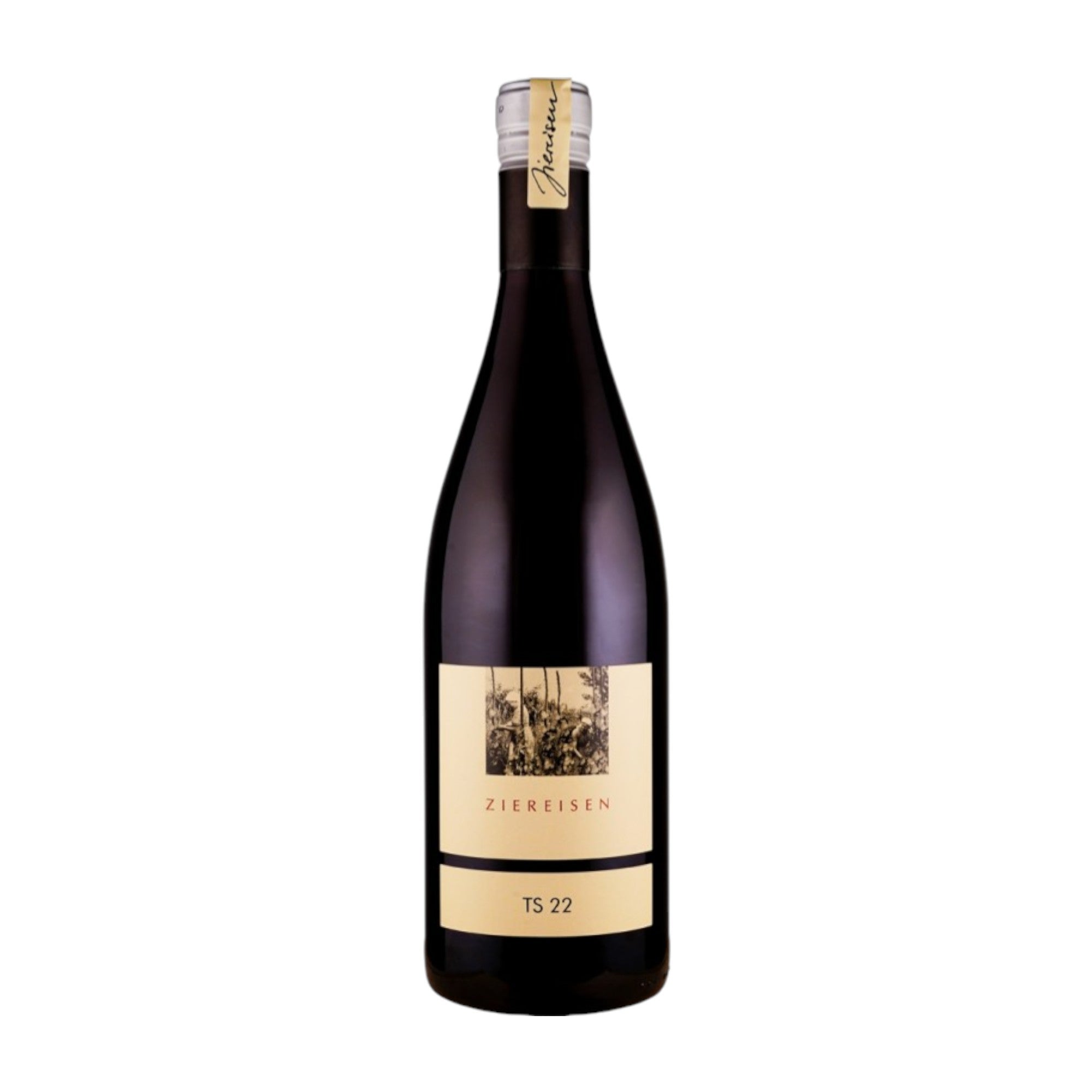 2022 TS(チュッペン) シュペートブルグンダー/ ツィアアイゼン | Wine