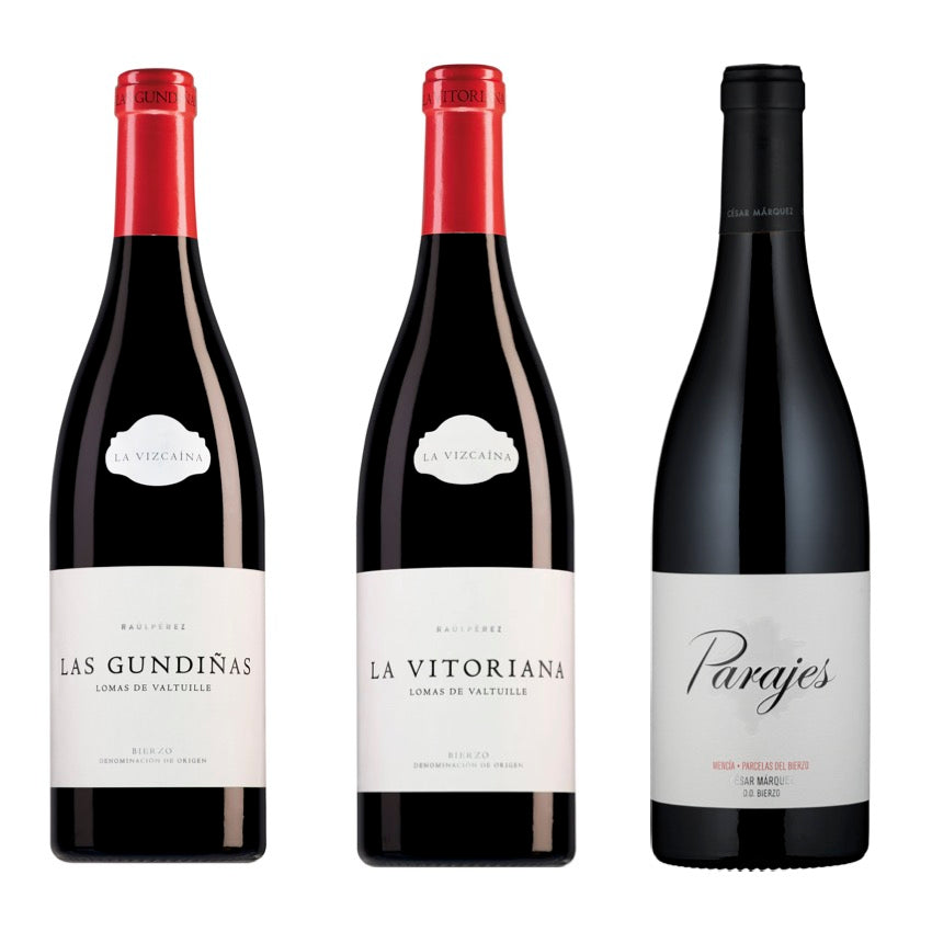 天才醸造家ラウル・ペレスの飲み比べ3本セット | Wine Library