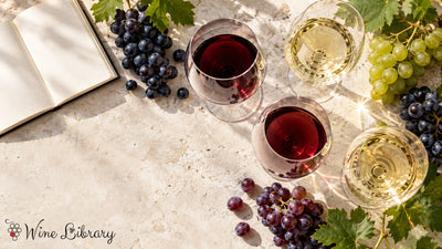5000円のワインおすすめ10選 シャンパーニュ・ブルゴーニュ・ロワールをソムリエが厳選 - Wine Library