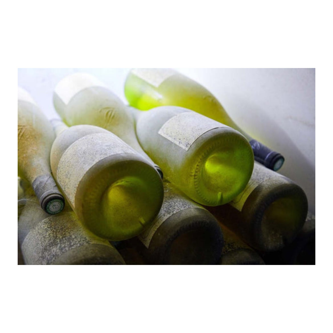 PMO　プレモックス