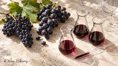 ボルドーワインの品種と割合｜カベルネとメルローの比率で味が決まる-Wine Library-