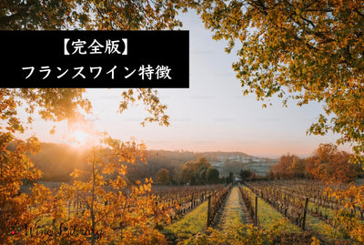 【完全版】 フランスワインの特徴とは？他国ワインとの違い・AOC・テロワール・格付けを6つの視点でわかりやすく解説 - Wine Library