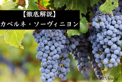 カベルネ・ソーヴィニヨンとは？濃厚赤ワインの定番品種 - Wine Library