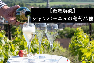 【完全版】 シャンパーニュのブドウ品種を徹底解説｜主要3品種・伝統的希少4品種・新認可品種 - Wine Library