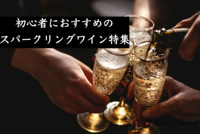 【初心者向け】スパークリングワインおすすめ7選 失敗しない選び方をソムリエが解説 - Wine Library