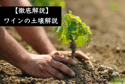 【完全版】 ワインの土壌11種類を徹底解説｜キンメリジャン・花崗岩・粘板岩・火山性土壌・白亜・石灰岩ほか、産地別の特徴と味わいへの影響がわかる - Wine Library