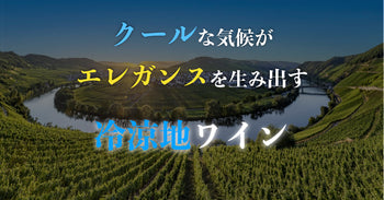 冷涼地ワイン特集