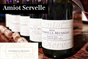 アミオ・セルヴェル - Wine Library