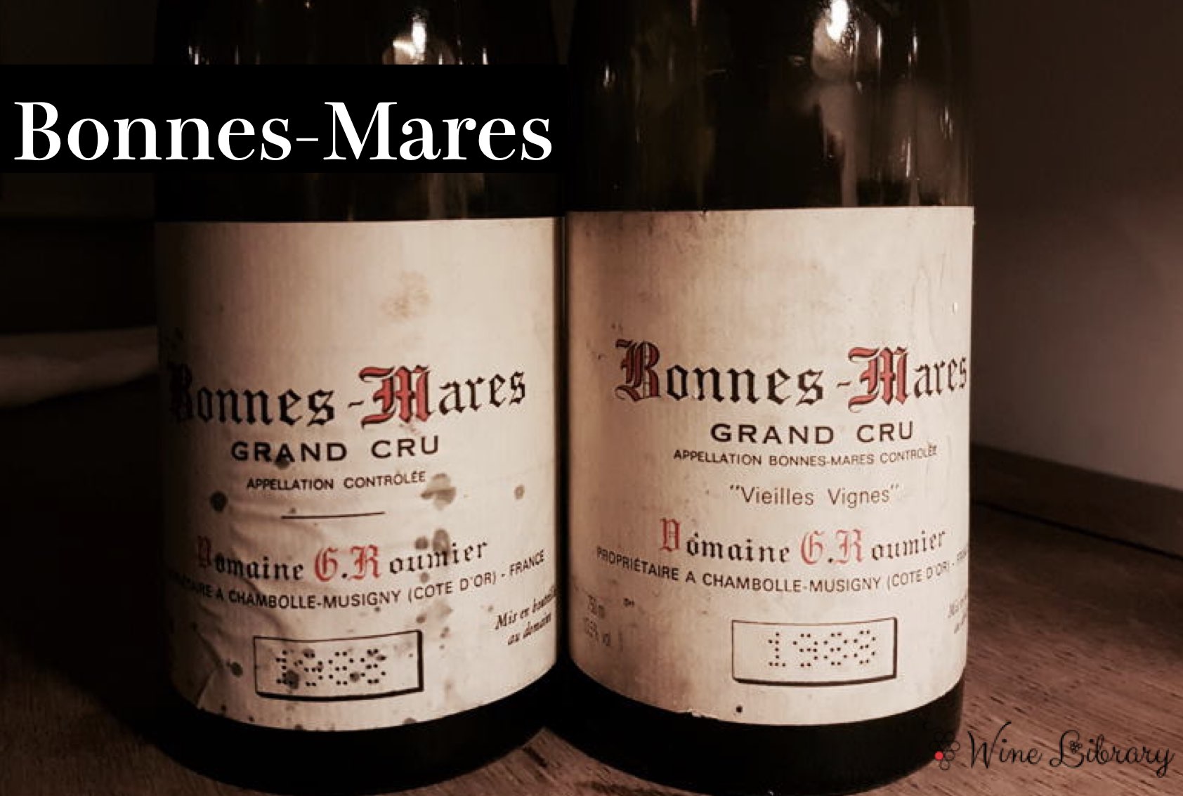 シャンボールミュジニー(村)2008 シャンボール・ミュジニー / Chambolle Musigny - Wine Library