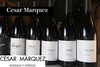 セサール・マルケス-Wine Library