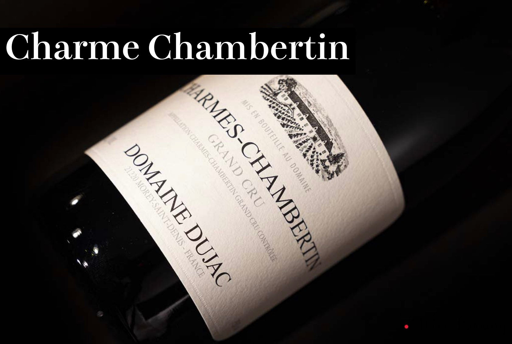 ジュヴレ・シャンベルタン / Gevrey Chambertin - Wine Library