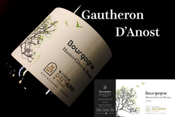 ゴーテロン・ダノスト - Wine Library