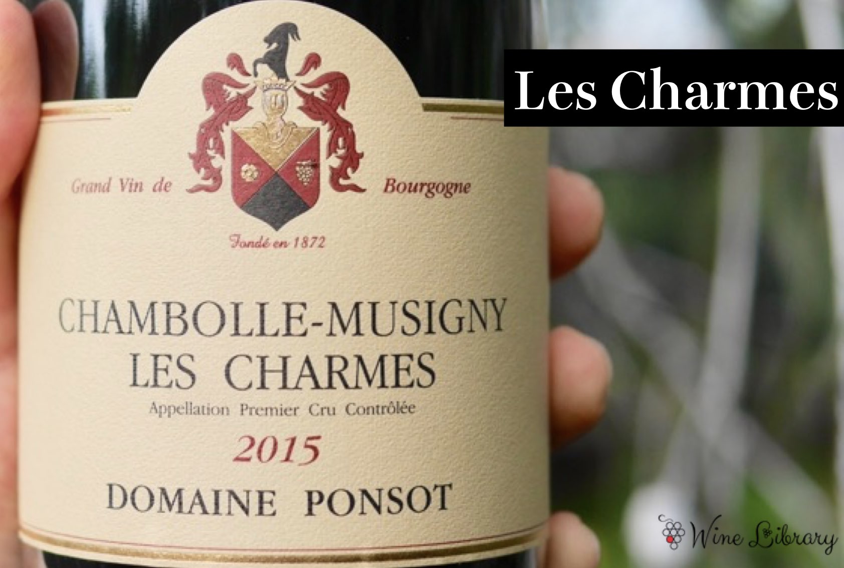 シャンボール・ミュジニー レ・シャルム / Chambolle-Musigny Les