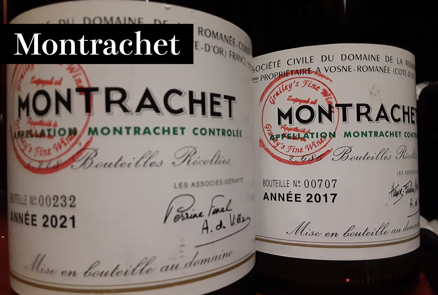 シャサーニュ・モンラッシェ / Chassagne Montrachet - Wine Library