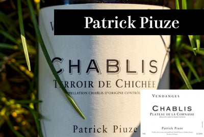 パトリック・ピウズ／Patrick Piuze