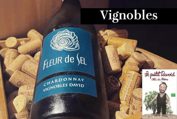 ヴィニョーブル・ダヴィッド / Vignobles David