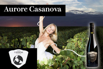 オーロール・カサノヴァ - Wine Library