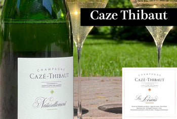 カゼ・ティボー／Cazé Thibaut