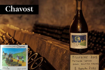 シャヴォスト - Wine Library