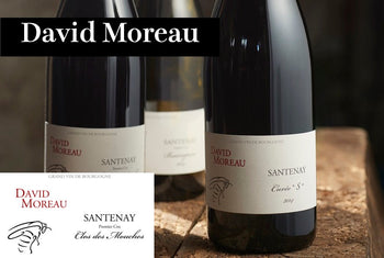 ダヴィッド・モロー／David Moreau