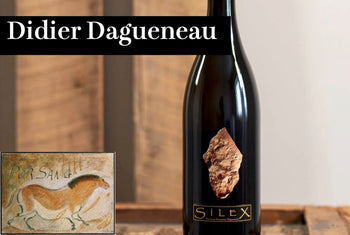ディディエ・ダグノー - Wine Library