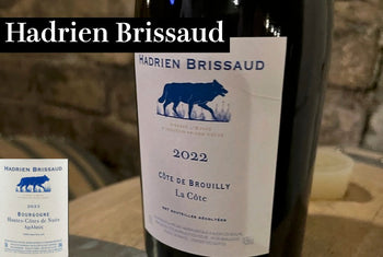 アドリアン・ブリソー - Wine Library