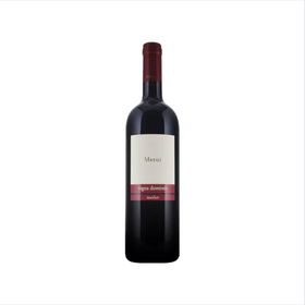 2020 メルロー・ヴィーニャ・ドミニン / メロイ