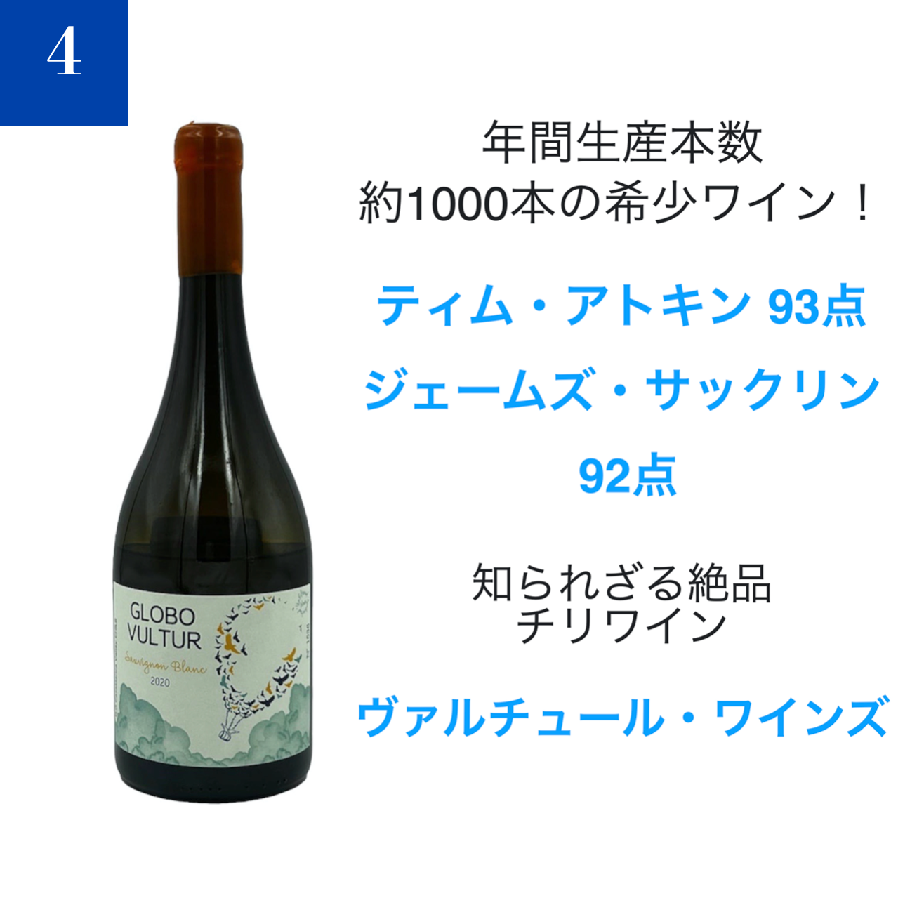 2013 ジュヴレ・シャンベルタン 1er Cru クロ・サン・ジャック V.V.