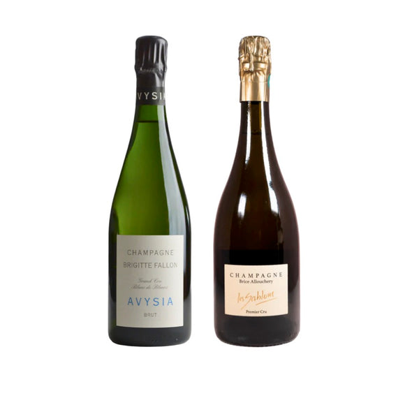 NV アヴィジア(B20) / ブリジット・ファロン & 2019 サブロン / ブリス・アルーシュリー