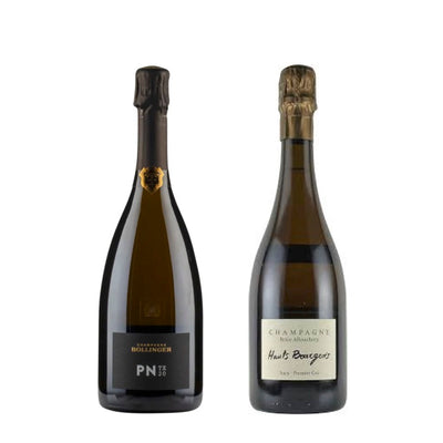 NV PN TX20 / ボランジェ & 2019 オー・ブルジョワ / ブリス・アルーシュリー