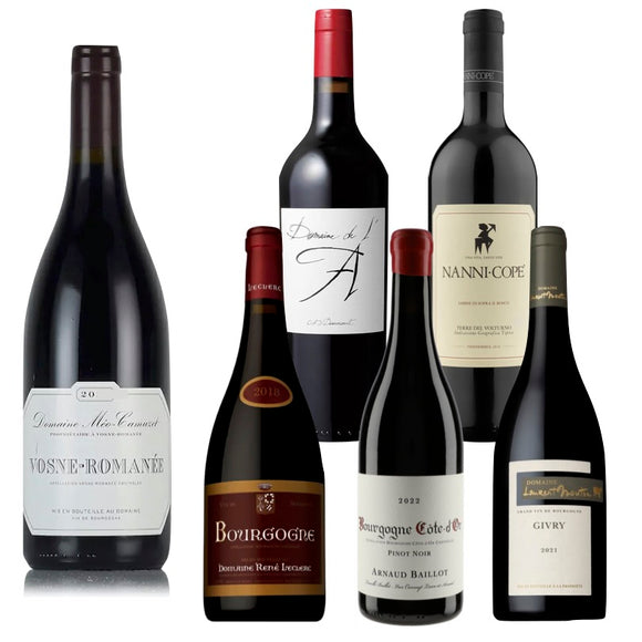 【赤ワイン6本セット】2021 メオ・カミュゼのヴォーヌ入り❗️厳選赤ワイン6本セット