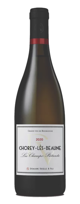 2022 ショレイ・レ・ボーヌ ピエタン・ブラン / ドゥセル・エ・フィス