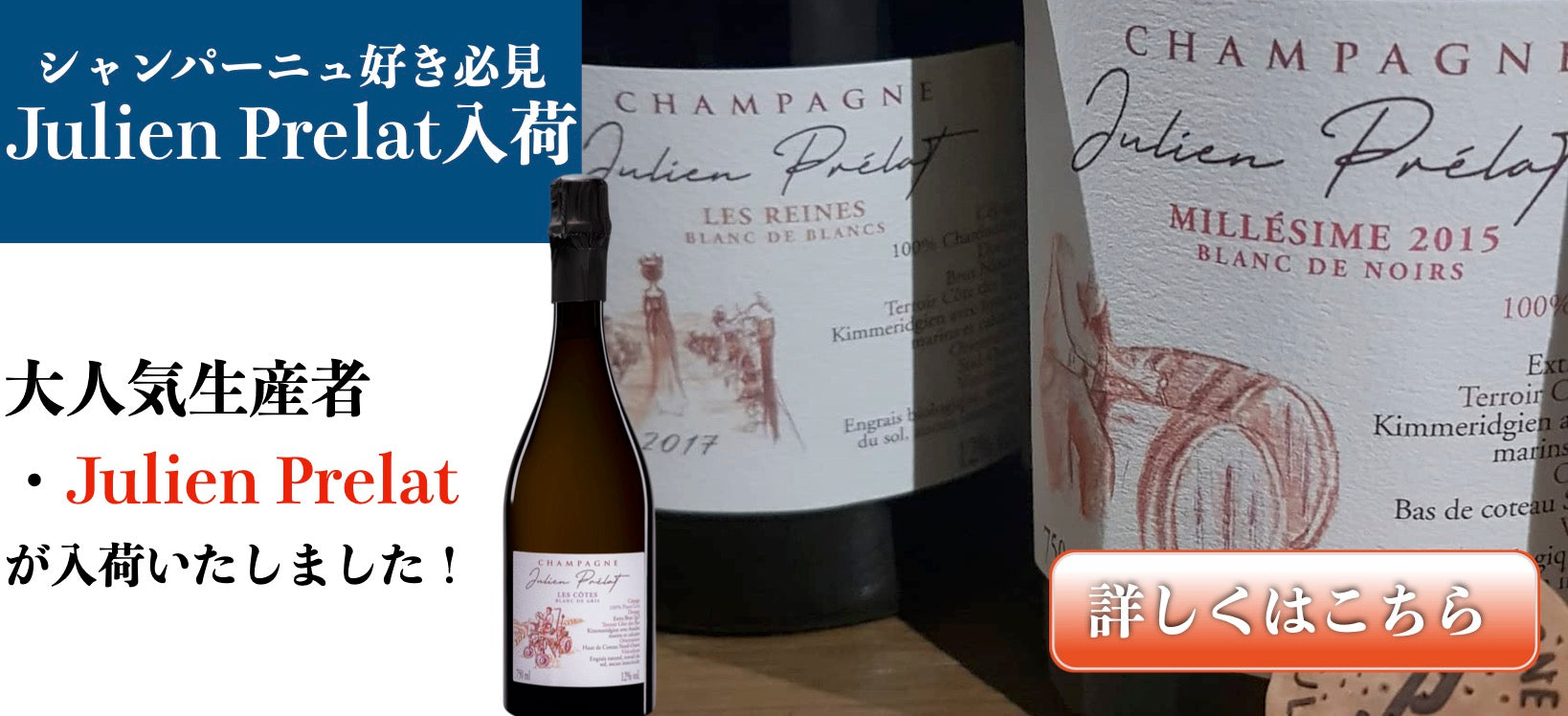 サロン キュヴェS ブラン ド ブラン 1996 ワイン通販 / ワイン・ライブ