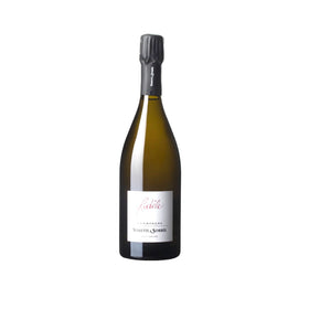 フィデル ヴェット・エ ・ソルベ