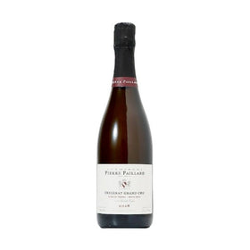 2019 ヴェルズネイ グラン・クリュ / ピエール・パイヤール