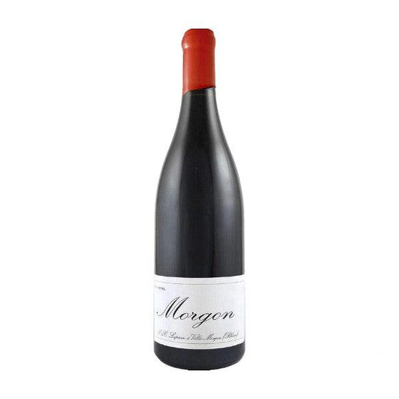 2021 モルゴン VV / マルセル・ラピエール