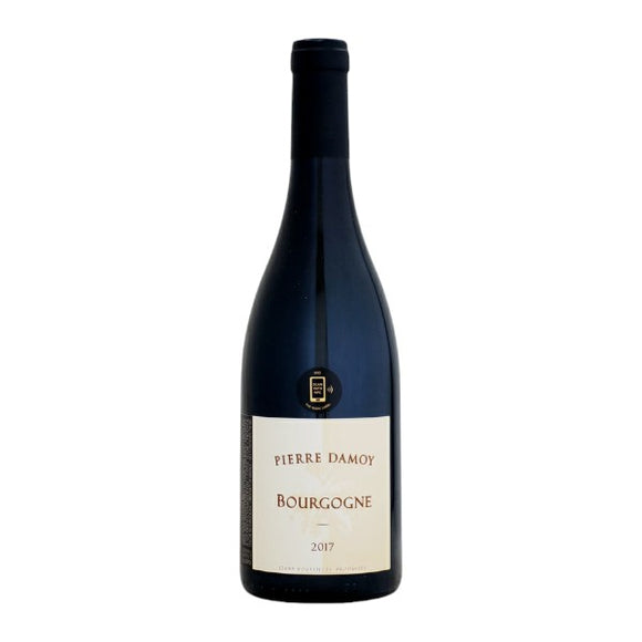 2017 ブルゴーニュ・ルージュ / ピエール・ダモワ【正規品】