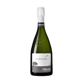 2019 フォルト・テール / ムッセ