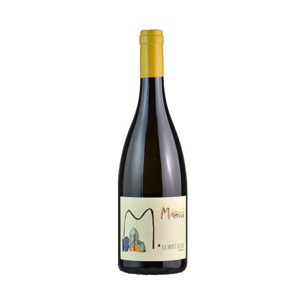 WineLibrary-Photoroom-2025-03-