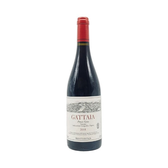 2021 ガッタイア ピノ・ネロ / ミケーレ・ロレンツェッティ