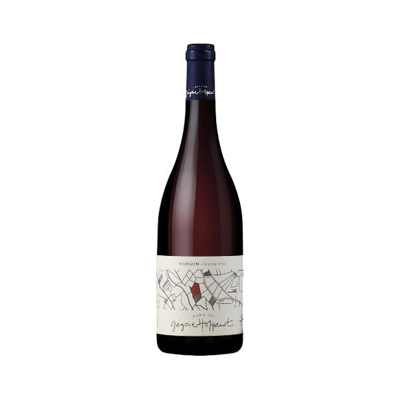 2023 モルゴン コルズレット / グレゴワール・オプノ